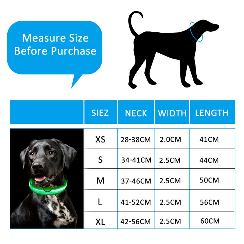Nylon LED Pet Dog Collar Night Safety Flashing Glowing Collar Leash For Dogs Luminous Fluorescent Pet Supplies arnes perro