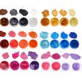 24 Pcs/set Pearlescent Powder Mica Glitter Sliam DIY Crafts Making Epoxy Pigment