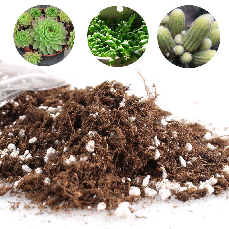 2019 Peat Soil Peat Moss And Perlite Mixed Soil Well Drained Mix Peat And Sand Soil