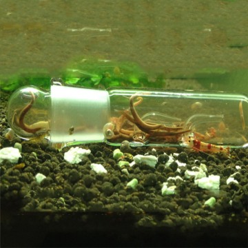Aquarium Planarian Trap for Fish Tank Worm Trap Fish Tank Pest Catch Trap Leech Catcher For Planarian Flatwormnew