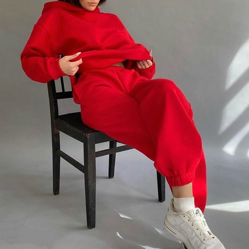 Women's Fleece Warm Tracksuit 2 Piece Set Sportswear Hooded Long Sleeve Sweatshirt High Waist Pants Female Sets 2020 Casual Suit