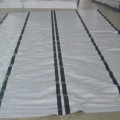 4*6m White Color PE Tarpaulin with Reinforced Bands