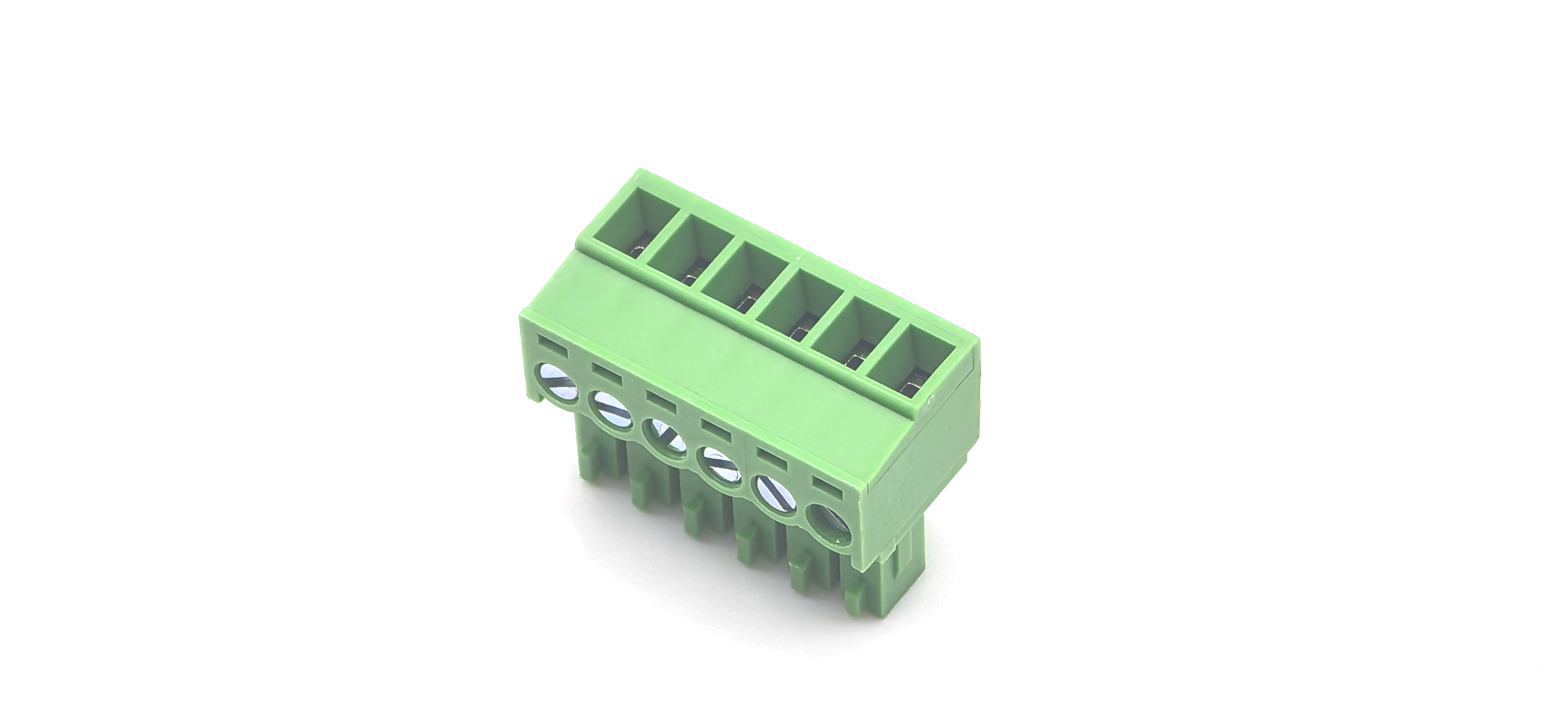 Main-06