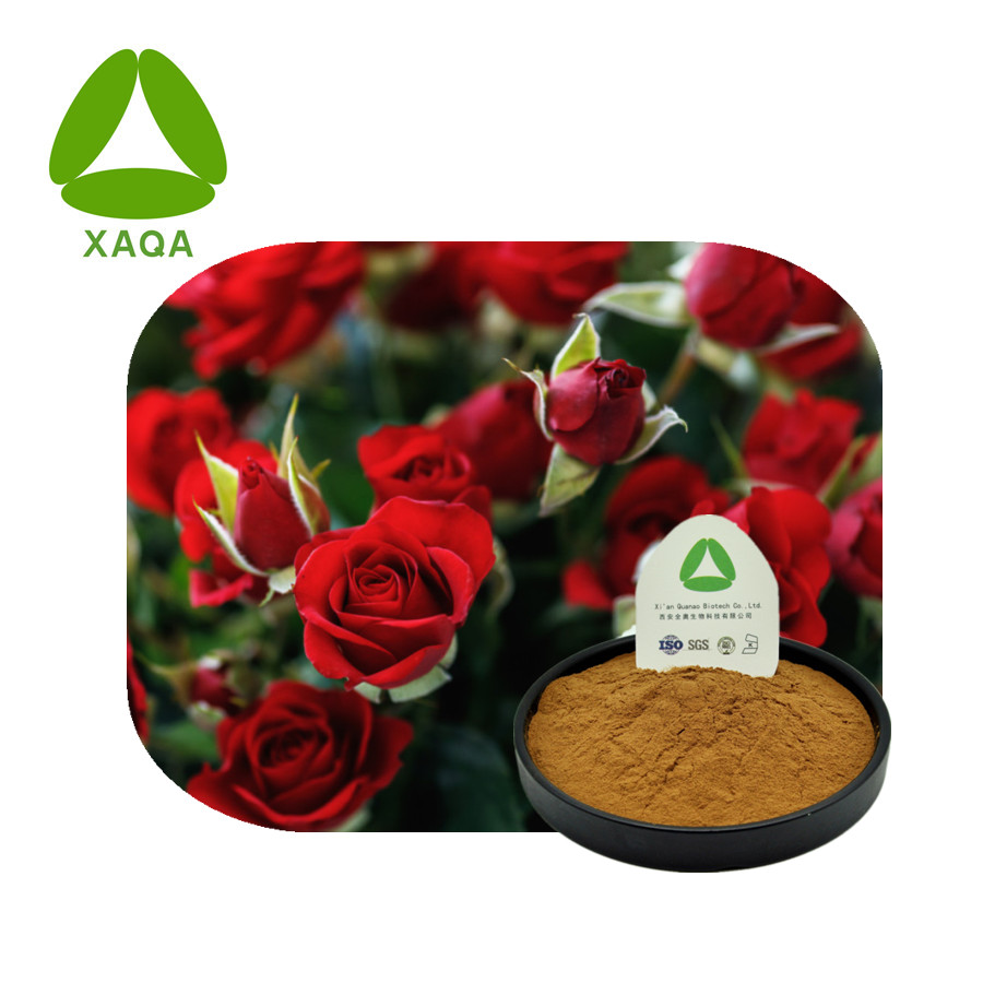 Rose Extract Jpg