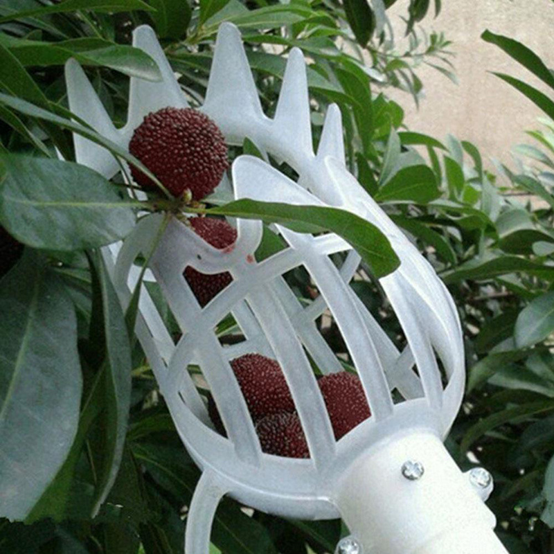 1 Pc Plastic Fruit Picker Without Pole Fruit Collector Manifold for Gardening Harvesting Tool Picking Up The Plum Artifact