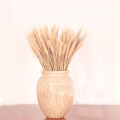 100pcs natural dried flower bouquets natural raw color dried ear of wheat bouquets&wheat ear Bunches