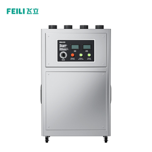 300g/h Ducted Ozone Generator