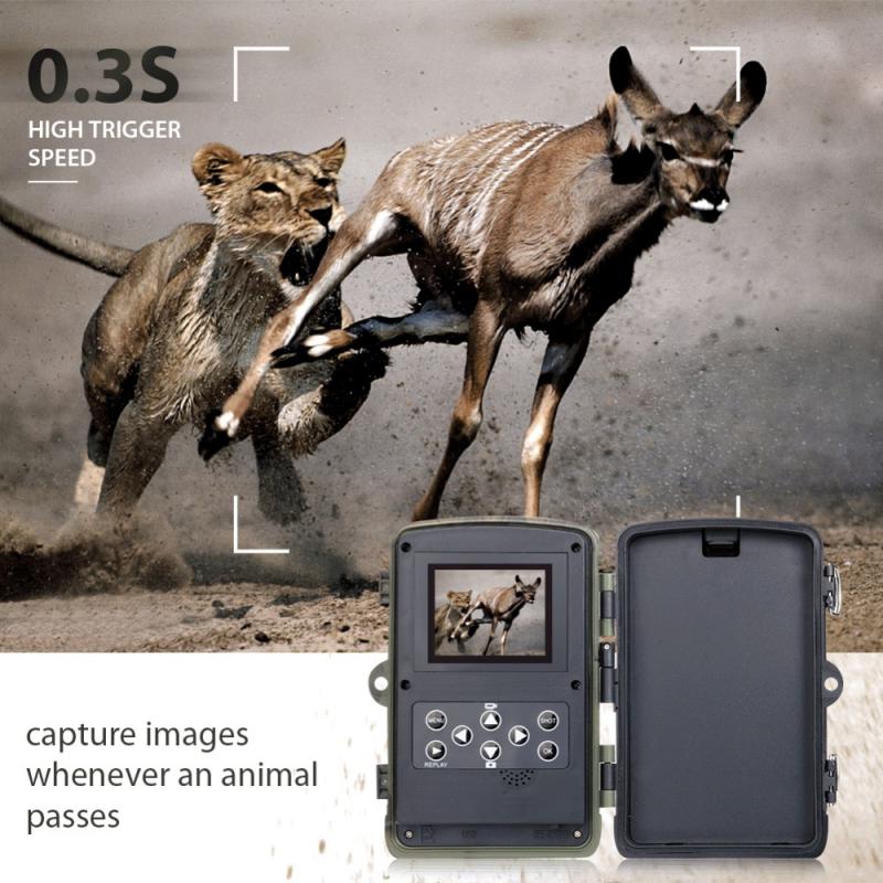 HC 801A Hunting Cameras 0.3s Trigger Time infrared Night Version Trail Camera Photo Traps 16MP 1080P IP65 Wildlife Camera Cams