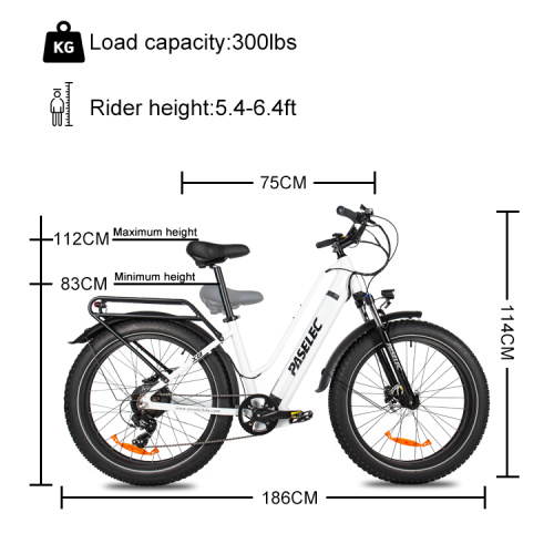 EU Stock 750w bafang motor large battery electric bike Manufacturer EU Stock 750w bafang motor large battery electric bike from China