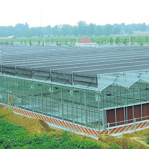 Skyplant Commercia Venlo Type Glass Greenhouse Manufacturers and Skyplant Commercia Venlo Type Glass Greenhouse Suppliers