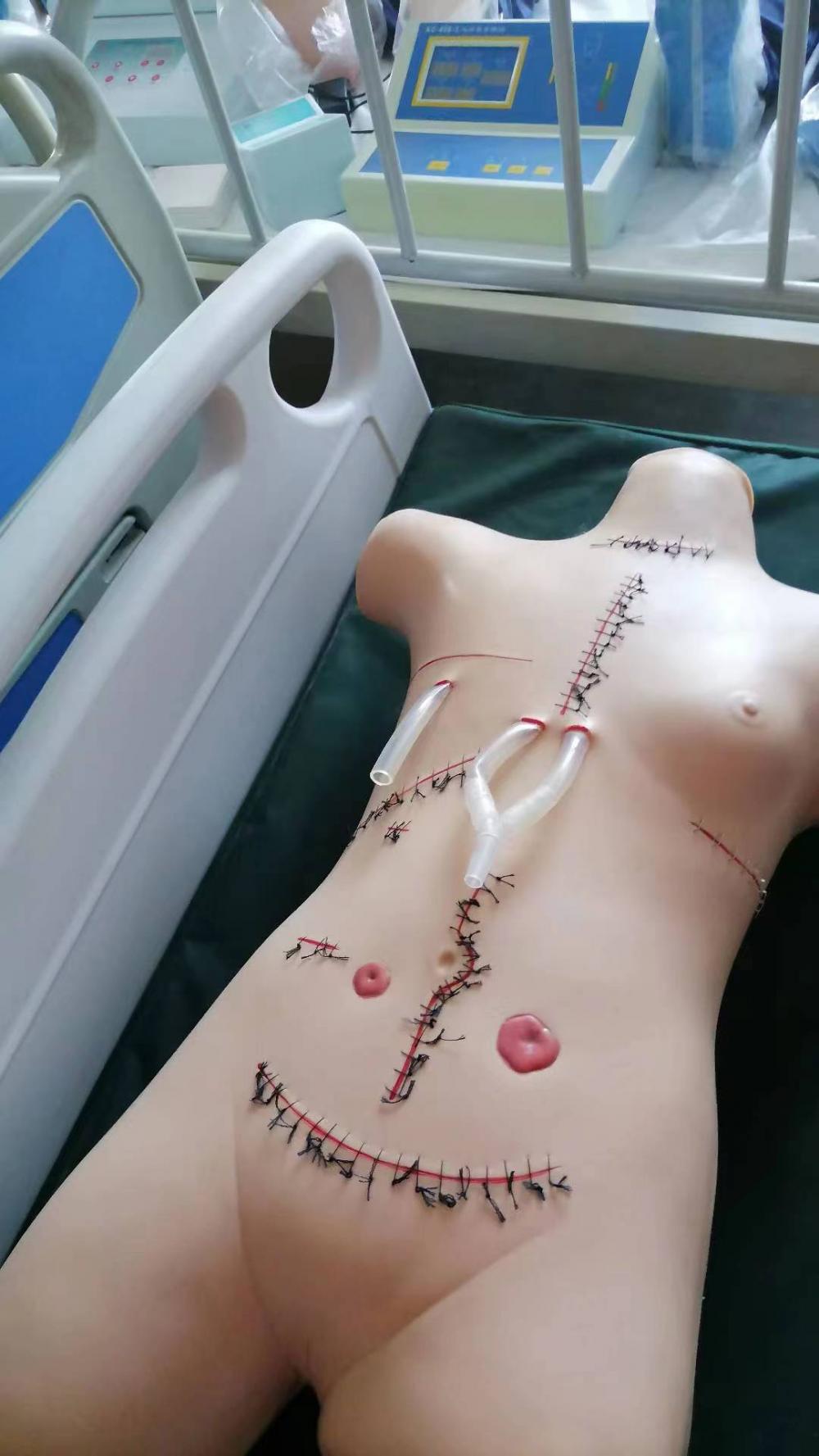 Surgical Suturing and Bandaging Model