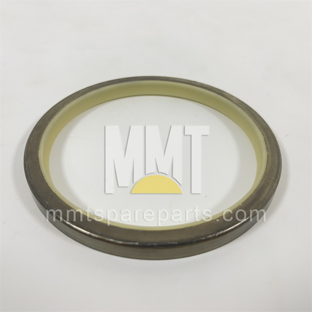 Steel Faced Rubber Dust Lip Type Sea 9x-4598