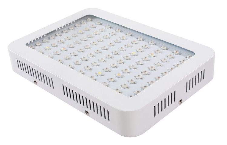 led 1000w grow light uk hydroponic