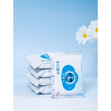 Individually Wrapped Branded Flushable Wet Wipes for Travel