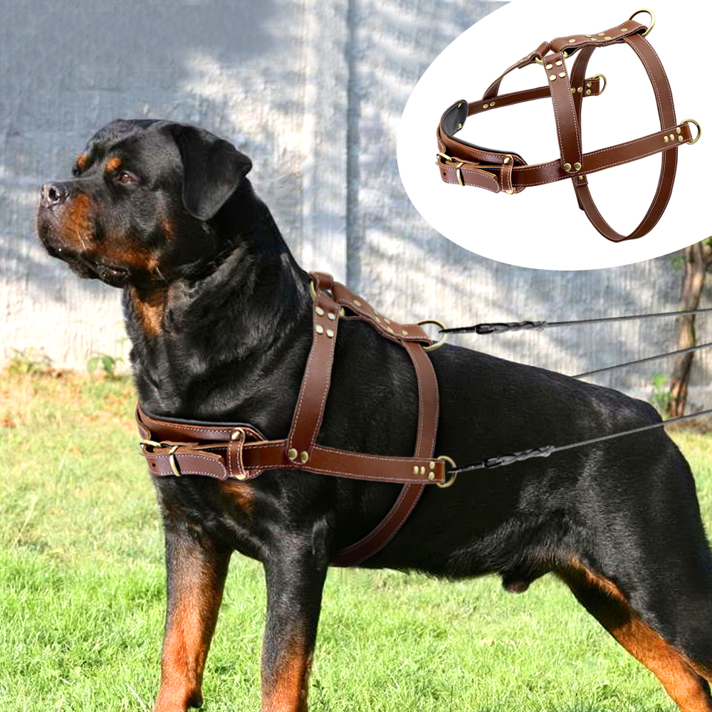 Real Dog Leather Harness Pet Training Products Strong Pulling Harness Vest For Large Dogs German Shepherd K9 Dog Agility Product