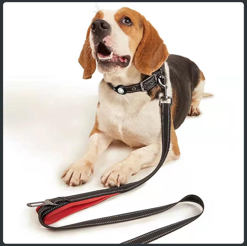 Reflective Adjustable Nylon Airtag Dog Collar with Case