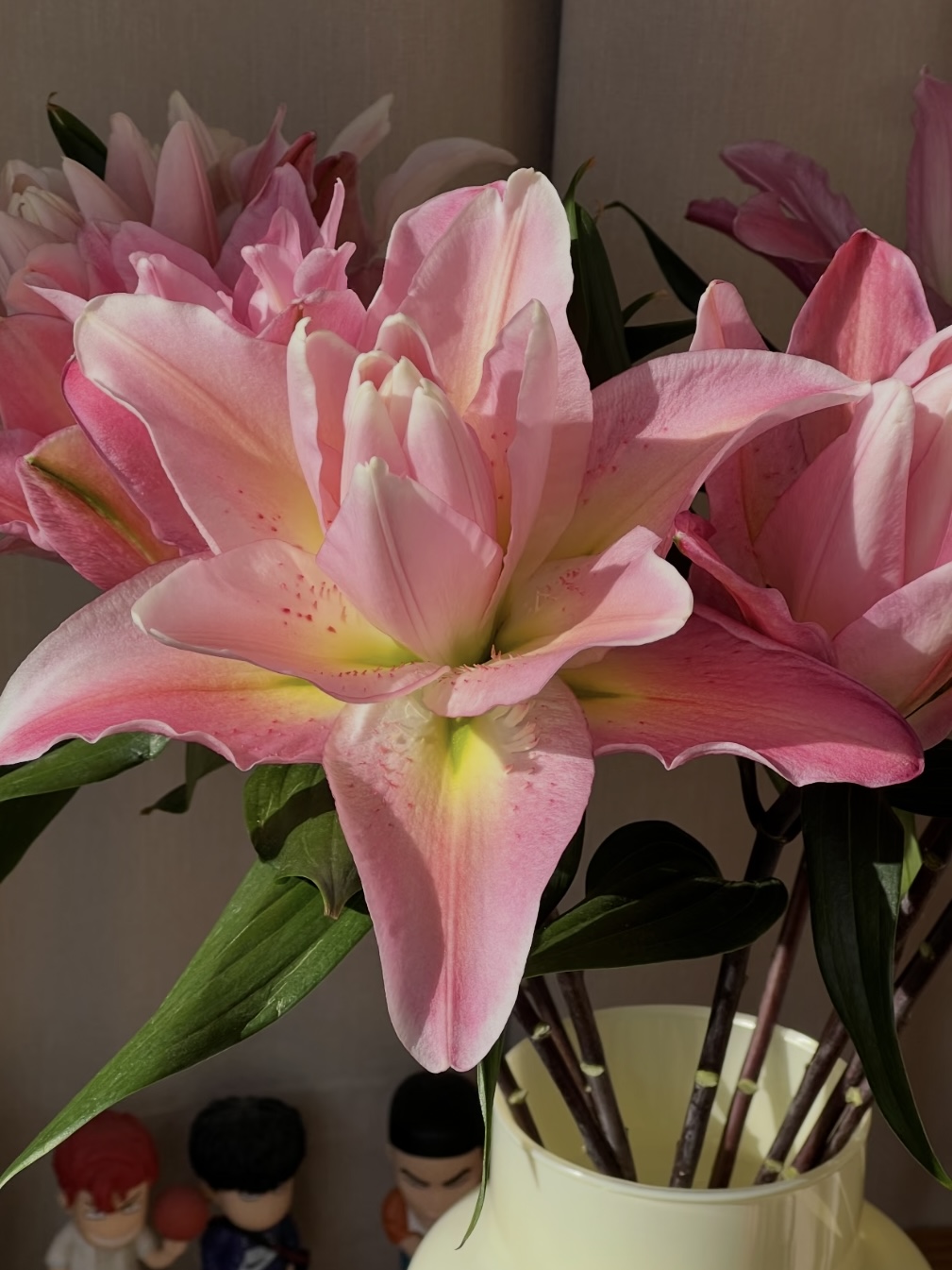 Lucky Eros  Double Lily4