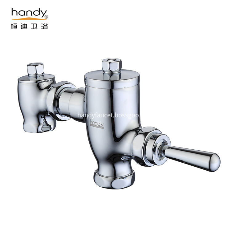 lapse self-closing flush valve lapse self-closing flush valve