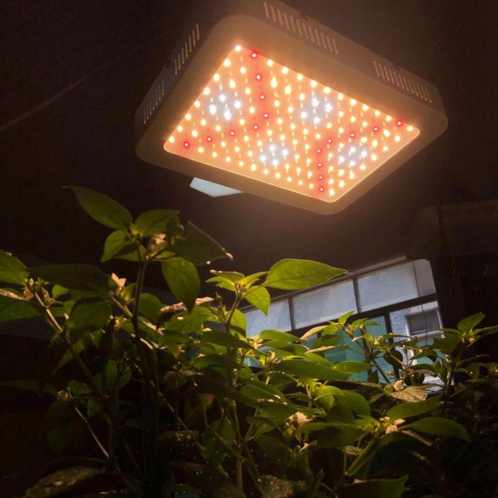 Shenzhen Wenyi 1000W Grow LED Full Spectrum