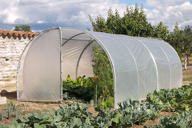 Single span greenhouse