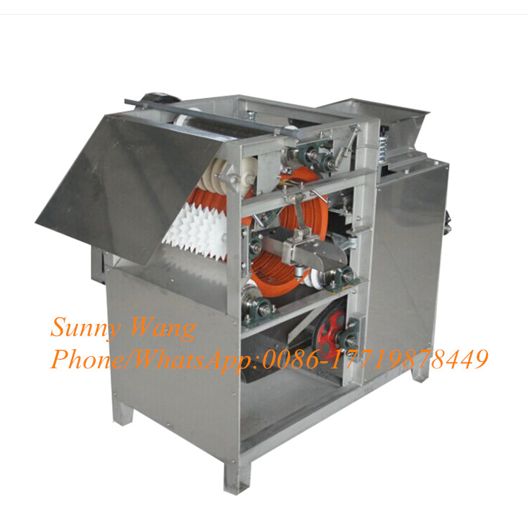 New Wet Way Type Groundnuts Soybean Almonds Broad Beans Peanut Red Skin Remover Peeler Peeling Machine