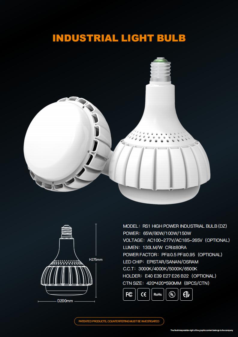 RS1 Industrial Lighting (6)