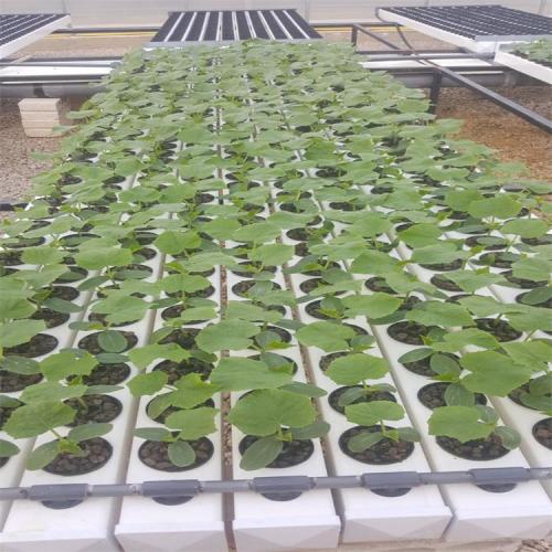 Greenhouse Customized Hydroponics Nft Pvc Pipe Manufacturers and Greenhouse Customized Hydroponics Nft Pvc Pipe Suppliers