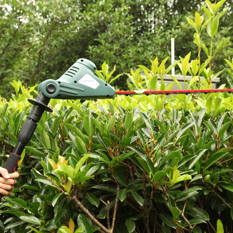 EAST 18V Li-ion Battery Cordless 1.8m Pole Hedge Trimmer Rechargeable Cutter Hand Pruning Tools Rechargeable Garden Tool ET1005