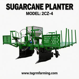 2CZ-4 Pulled by Tractor Sugarcane Planter