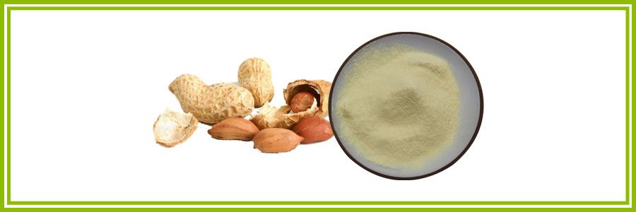 luteolin4