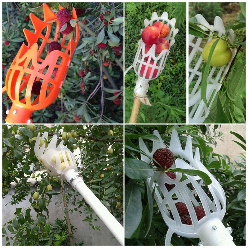 1 Pc Plastic Fruit Picker Without Pole Fruit Collector Manifold for Gardening Harvesting Tool Picking Up The Plum Artifact