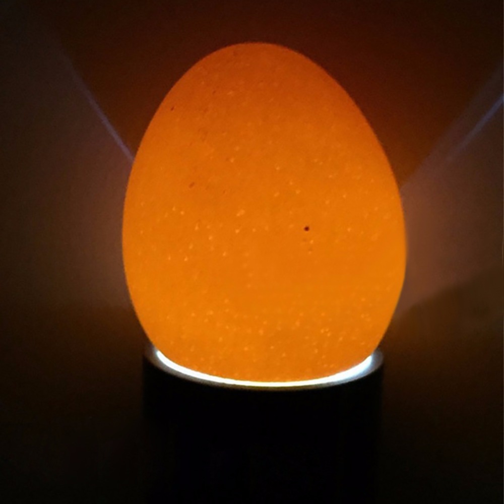 1 Pcs Incubator Eggtester Egg Candling Lamp 9 LED Super Cold Incubation Equipment Chicken Tool Free Shipping