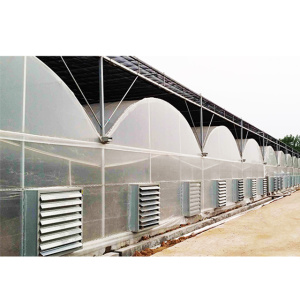 Agricultural intelligent film multi span tomato greenhouse