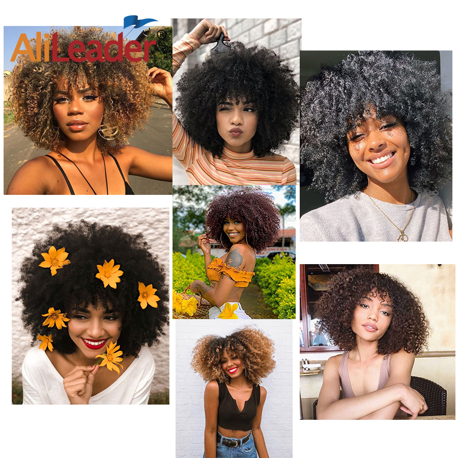 Afro Curly Wig 26