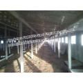 Agriculture Steel Structure Framed Poultry Shed