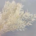 40gram/lot natrual dried flower bamboo leaf DIY material