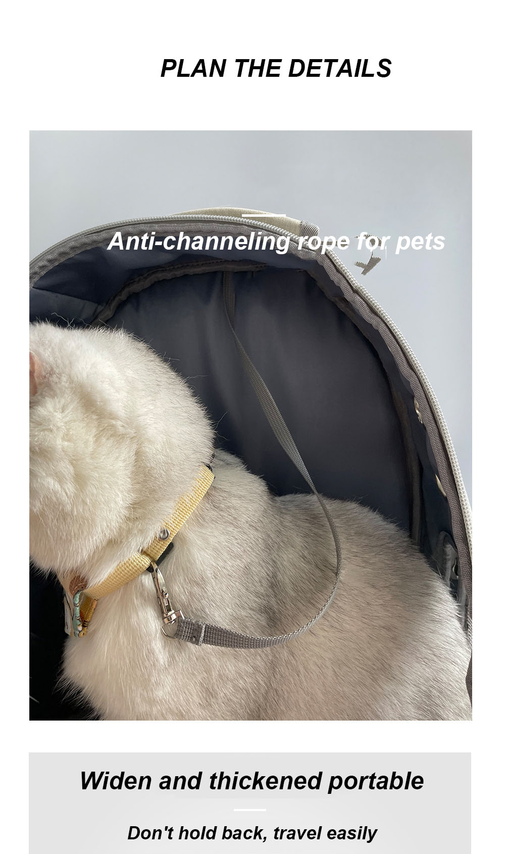 Pet Travel Carrier