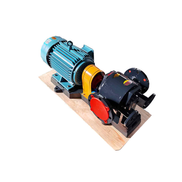 Stainless Steel Resin Gear Pump Wqcb Jacket Heat Pump Explosion Proof Resin Pump2