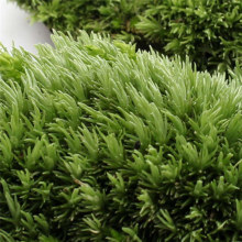 1pcs Green Artificial Fake Moss Coral Stone Model Grass Plant Potted Micro Landscape Fairy Garden Aquarium Ornament Decoration