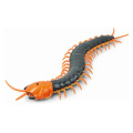 Centipede Black