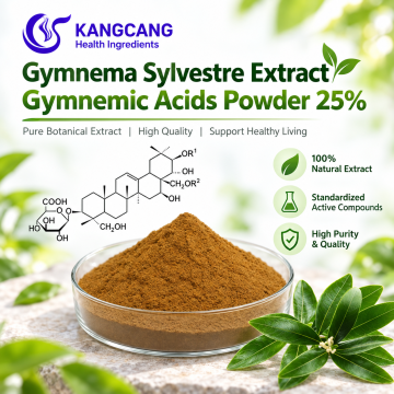 Gymnema Sylvestre Extract Gymnemic Acids Powder 25%