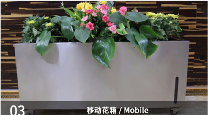Hanging Plants Near Me
