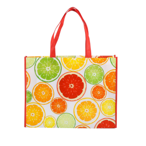 120G laminated non-woven shopping bags