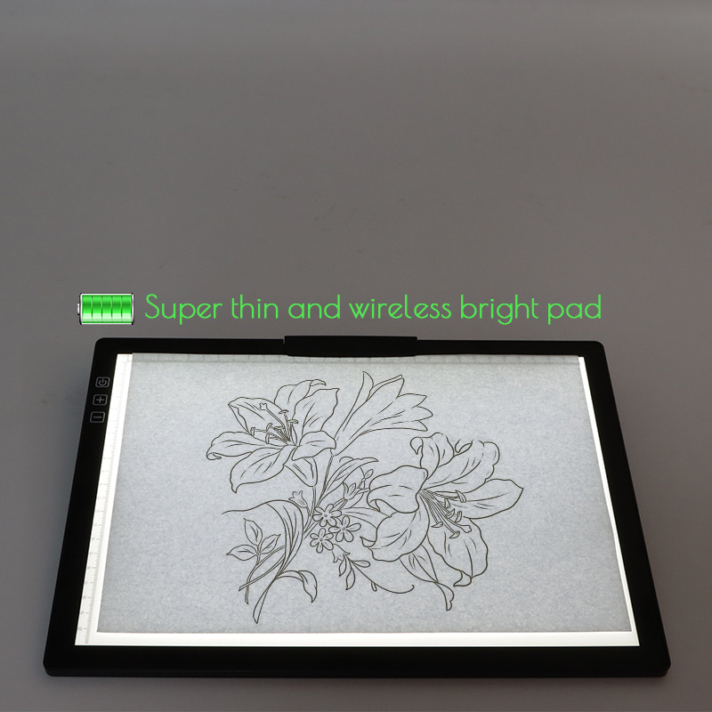 Animation Drawing Board