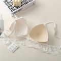 Transparent Lace Lingerie Set Sexy Embroidery Women Brassiere Padded Underwear Push Up Bra and Panty Sets