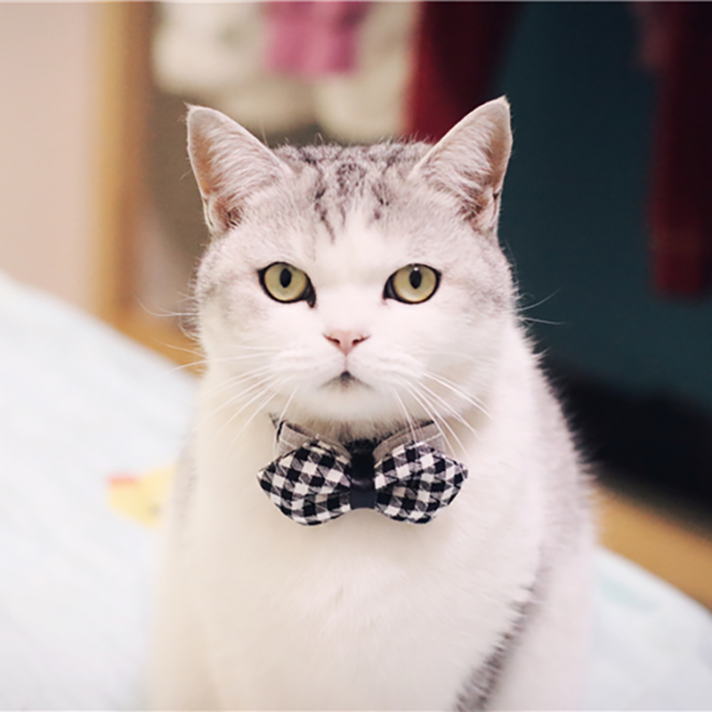 Christmas Holiday Pet Cat Dog Collar Bow Tie Adjustable Neck Strap Cat Dog Grooming Accessories Pet Product Supplies Christmas