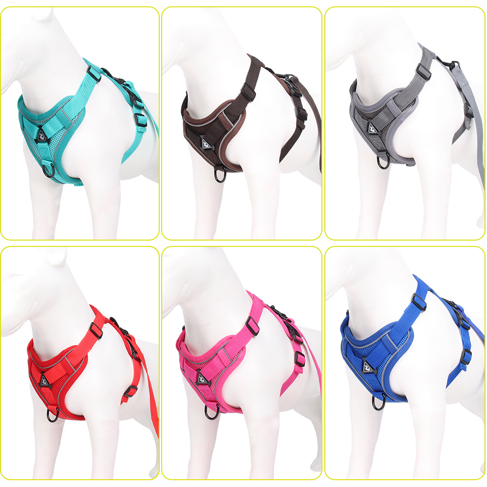 Dog Harness
