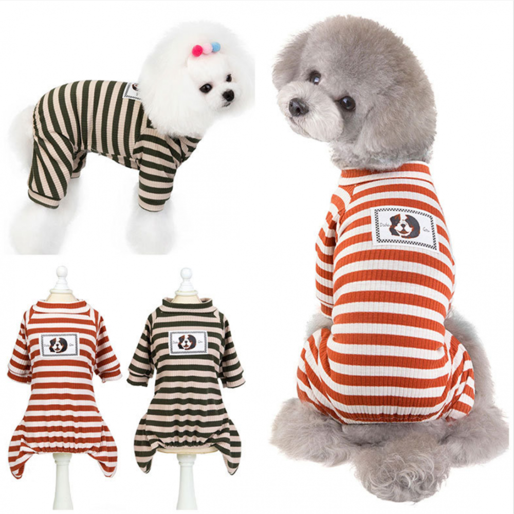 Pet Clothing Instagram