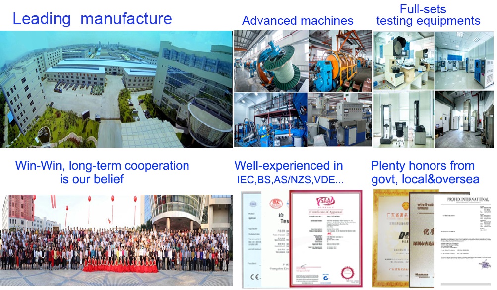 china supplier