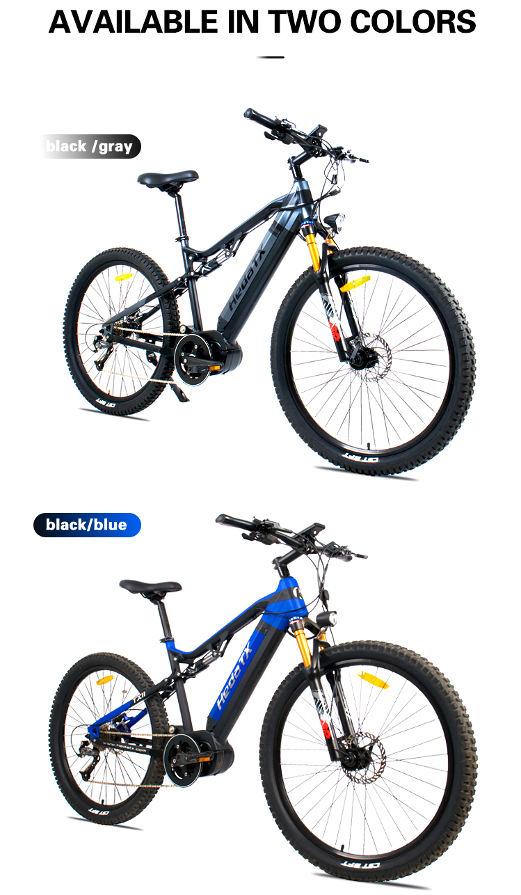 Mountain Electric Bike